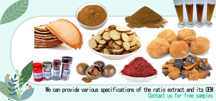 Factory Price Nutrition Supplements Powder Herbal Plant Extract Lions Mane Mushroom Extract