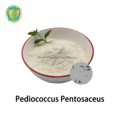 중국산 Pediococcus Pentosaceus 식품성분